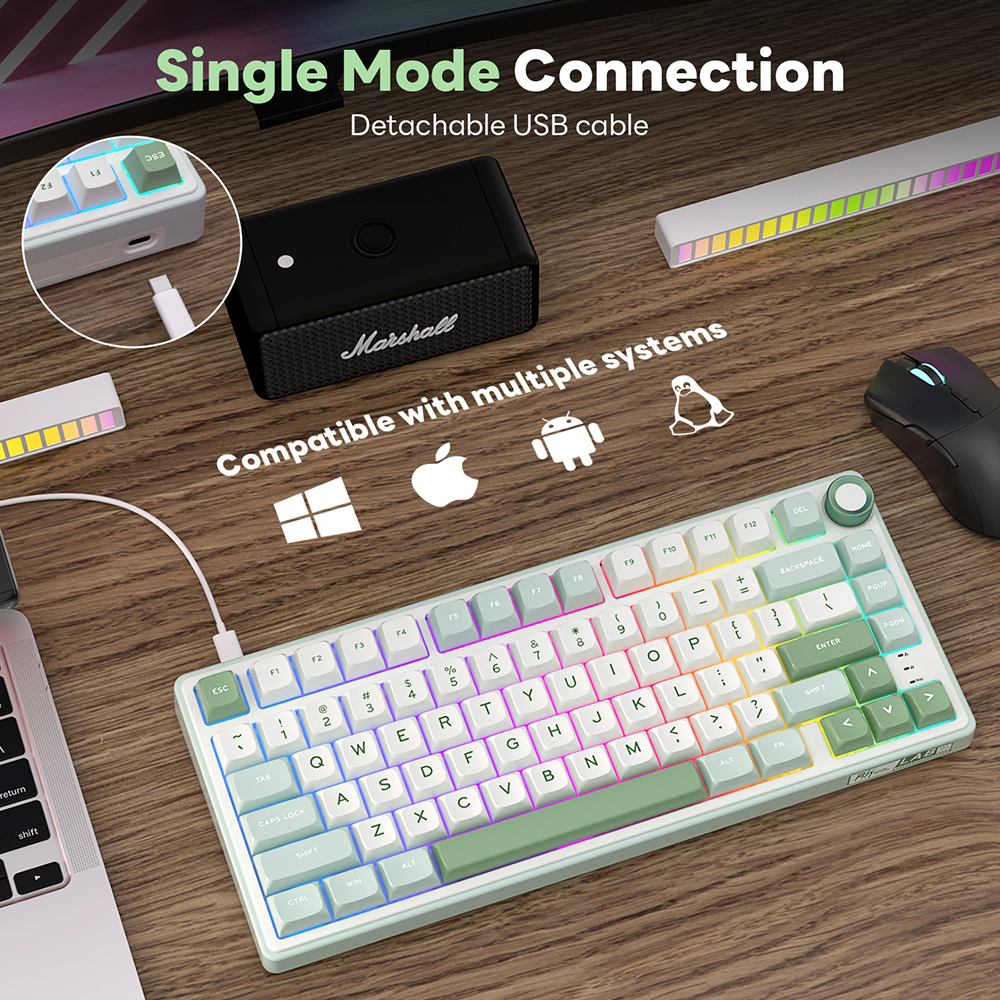 RK Royal Kludge R75 Gasket Wir - Gaming Keyboard Hot Swappable incelemesi ve fiyatı